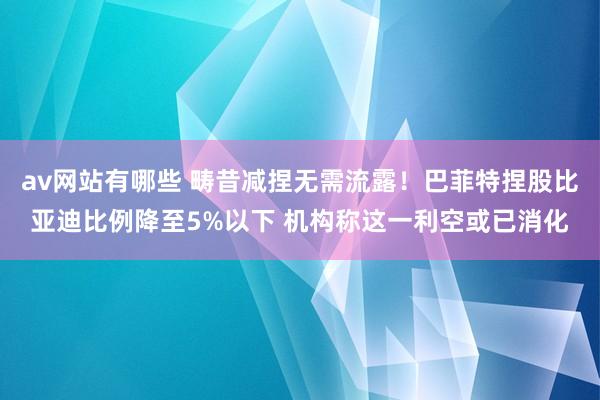 av网站有哪些 畴昔减捏无需流露！巴菲特捏股比亚迪比例降至5%以下 机构称这一利空或已消化