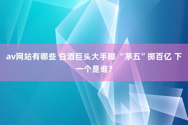 av网站有哪些 白酒巨头大手脚 “茅五”掷百亿 下一个是谁？