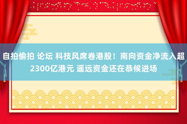 自拍偷拍 论坛 科技风席卷港股！南向资金净流入超2300亿港元 遥远资金还在恭候进场