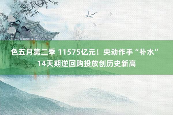 色五月第二季 11575亿元！央动作手“补水” 14天期逆回购投放创历史新高